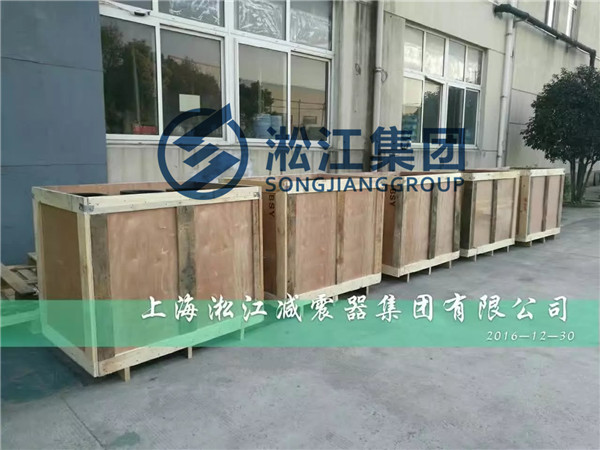 为越南客户出口*批定做6公斤压力橡胶软接头