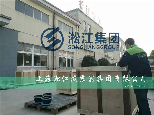 为越南客户出口*批定做6公斤压力橡胶软接头