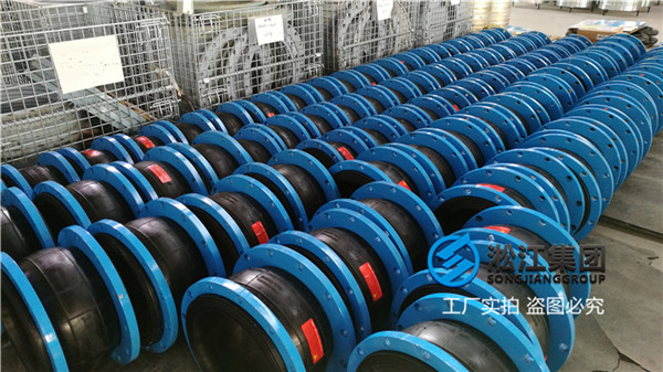 泵房工作震动较大配置DN250可曲挠橡胶减震器